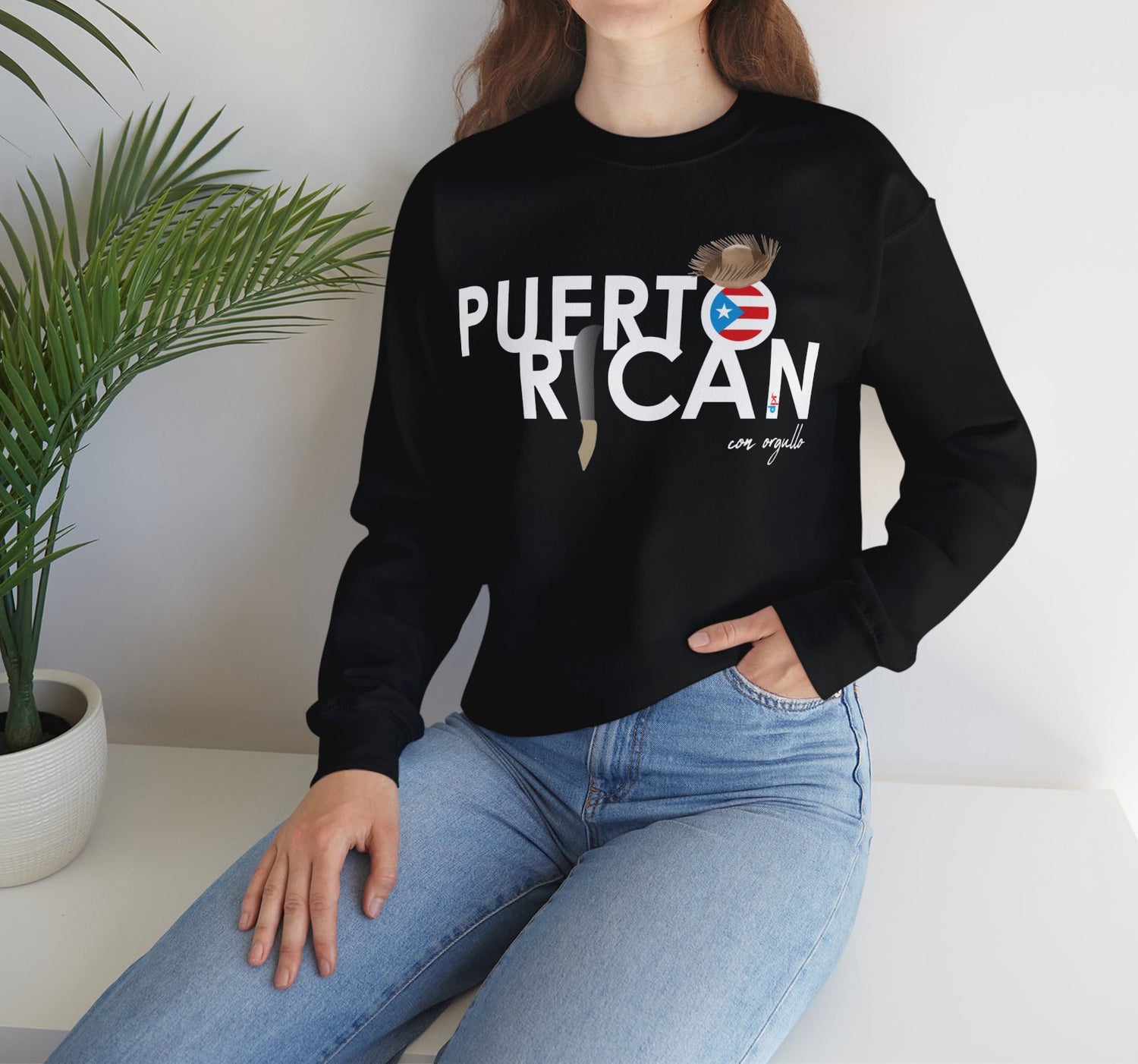 Boricua Comfort Sweaters