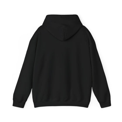 Puerto Rico Volleyball Unisex Heavy Blend™ Boricua-Style Hoodies